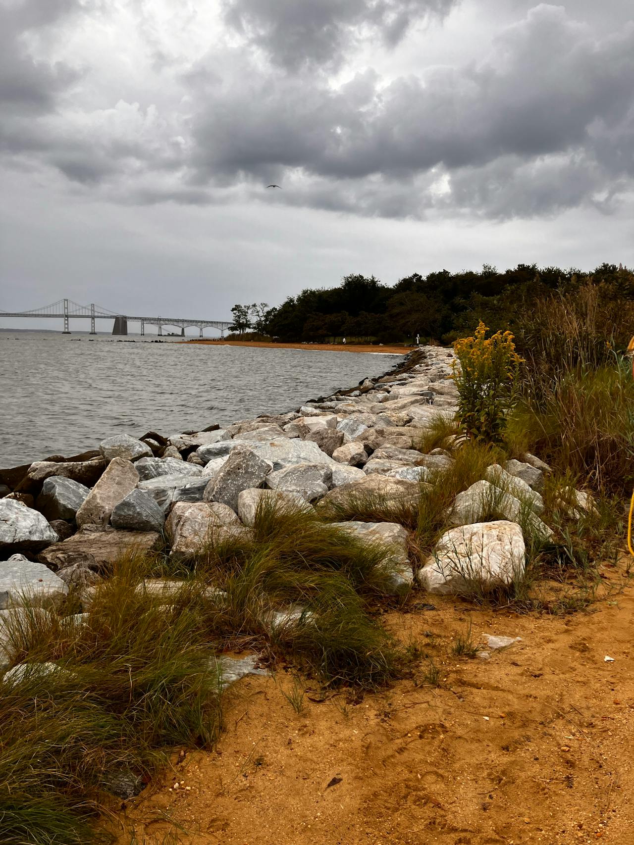 roofing contractor Chesapeake Beach