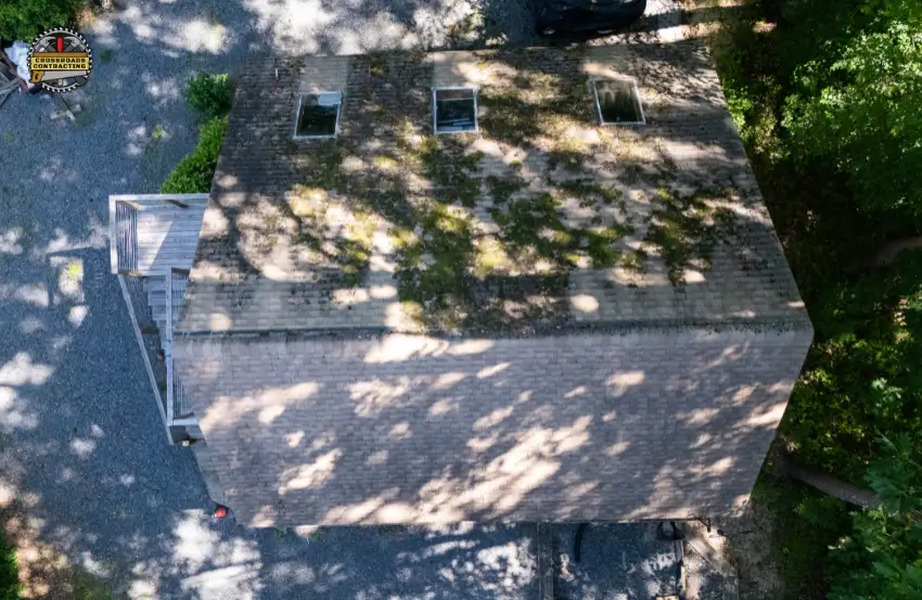 moss on roof shingles caused by moisture and shade in Maryland