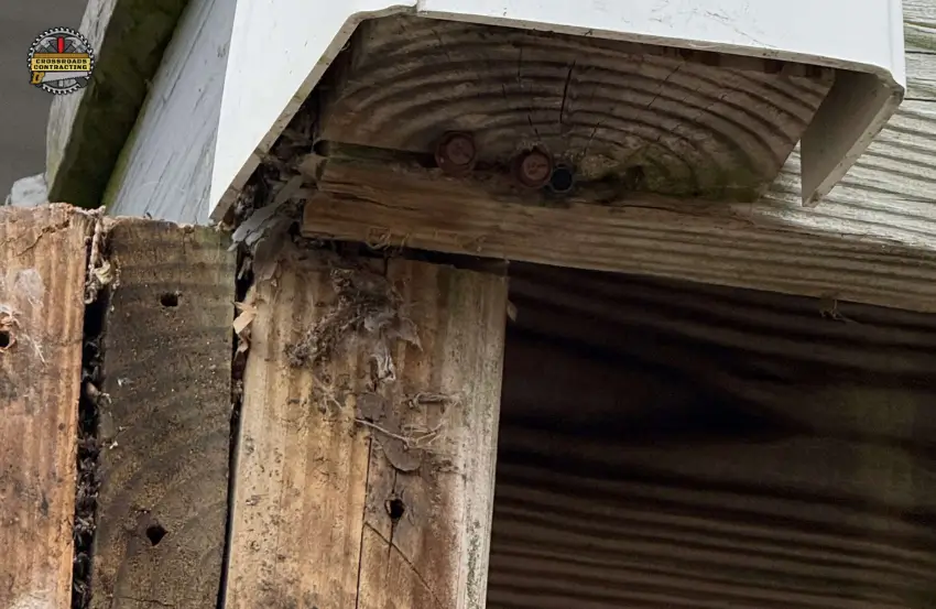 wood rot behind siding causing moisture damage to an exterior wall